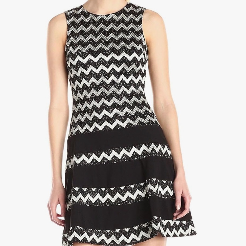 Betsy & Adam Sleeveless Chevron Fit and Flare Dress. Size 6